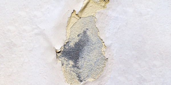 Pintar Fachadas de Empresas / Negocios / Locales Comerciales Manzanares el Real · Impermeabilización de Filtraciones de Agua y Humedad