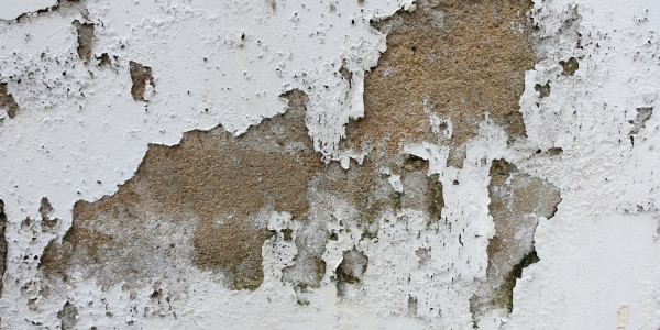 Pintar Fachadas de Empresas / Negocios / Locales Comerciales Manzanares el Real · Pintura Antihumedad / Antimoho para Humedades / Moho