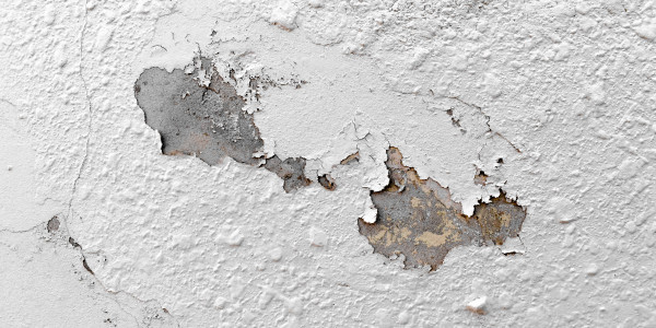 Pintar Fachadas de Naves Industriales, Fábricas y Almacenes Villalbilla · Pintura Antihumedad / Antimoho para Humedades / Moho