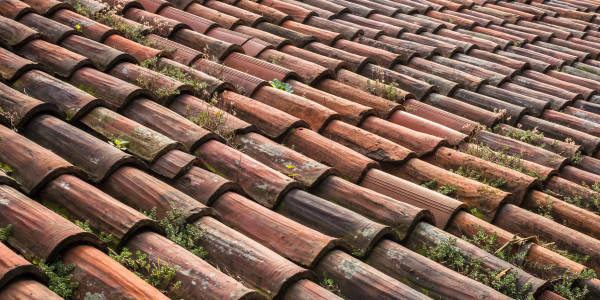 Rehabilitación y Restauración de Fachadas Loeches · Aplicación de Recubrimientos para evitar Filtraciones y Humedad en Tejados / Fachadas